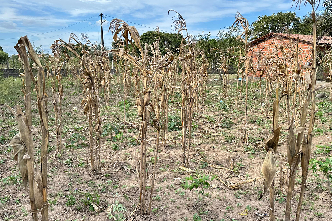 Foto: Reprodução/Prefeitura de Feira de Santana - BA